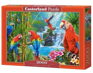 Castorland Puzzle 2000 elementów C-200870 Parrot Meeting papugi