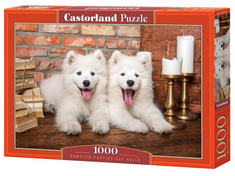 Castorland Puzzle 1000-elementów Samoyed Puppies Say Hello C-105137
