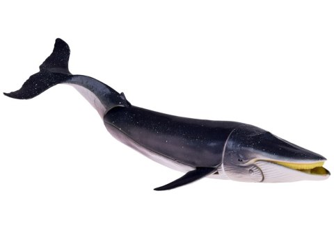 JOKOMISIADA SERIA ZWIERZĘTA MORSKIE Zestaw figurek rekin krab orka ośmiornica ZA5175