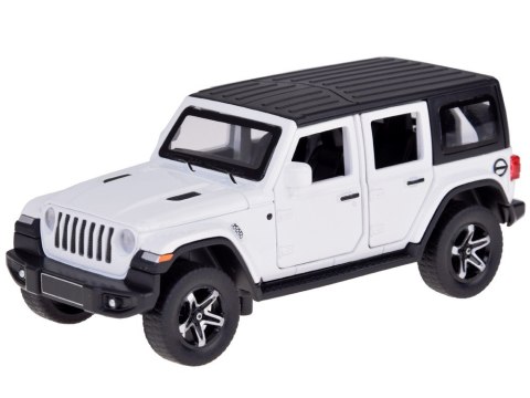 JOKOMISIADA Auto na wakacje Samochód terenowy + Przyczepa kempingowa światła ZA5351