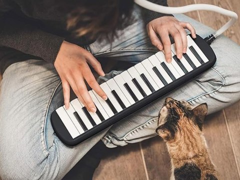 JOKOMISIADA Instrument muzyczny Melodyka Harmonijka klawiszowa etui dwa ustniki IN0175