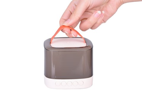 JOKOMISIADA Mikrofony z głośnikiem bezprzewodowy + bluetooth + 2 mikrofony IN0178