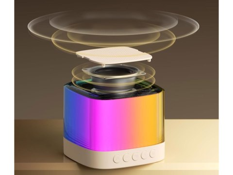 JOKOMISIADA Mikrofony z głośnikiem bezprzewodowy + bluetooth + 2 mikrofony IN0178