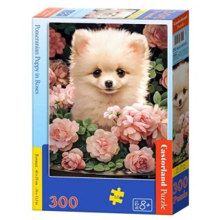 Castorland Puzzle 300-elementów Pomeranian Puppy in Roses