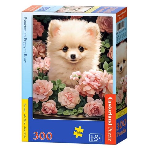 Castorland Puzzle 300-elementów Pomeranian Puppy in Roses