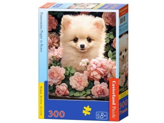 Castorland Puzzle 300-elementów Pomeranian Puppy in Roses
