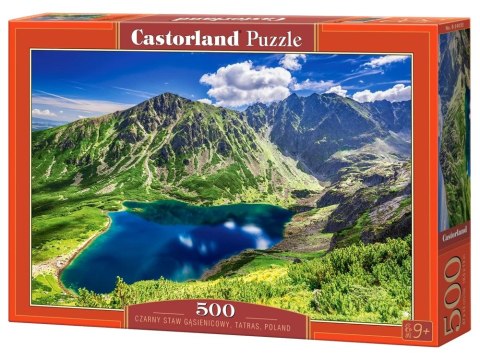 Castorland Puzzle 500-elementów Czarny Staw Gąsienicowy, Tatras, Poland