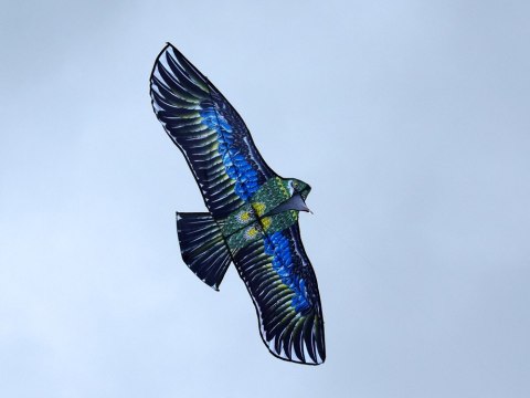 JOKOMISIADA Duży Lekki Latawiec PTAK Orzeł - Realistyczny drapieżny łowczy ptak ZA5572