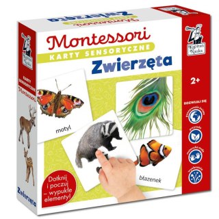 Kapitan Nauka Kapitan Nauka Gra edukacyjna MONTESSORI Karty sensoryczne. Zwierzęta 2+ KS1019