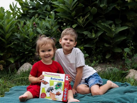 Kapitan Nauka Kapitan Nauka Gra edukacyjna MONTESSORI Karty sensoryczne. Zwierzęta 2+ KS1019