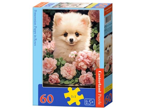 Castorland Puzzle 60-elementów Pomeranian Puppy in Roses B-066261