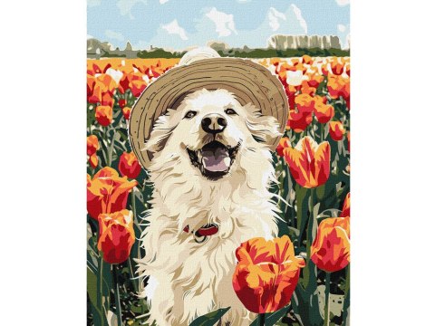 Ideyka Zestaw do malowania po numerach Szczęśliwy labrador KHO6623 40x50 AP0042