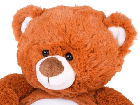 JOKOMISIADA Pluszowy miś projektor gwiazd z kołysankami lampka usypiacz ZA5713