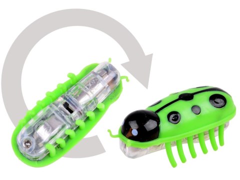 Producent niezdefiniowany Szalony Robak na Baterie - Nanosiedlisko Owadowa Mega Zestaw ZA0183