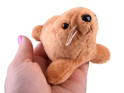 JOKOMISIADA Pluszowe zwierzątka oceanu z piszczałką - Foczka Delfin Orka Rekin ZA5779