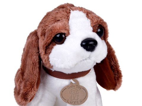 JOKOMISIADA Urocza Maskotka Piesek w Torebce przytulanka dla dziecka ZA5856