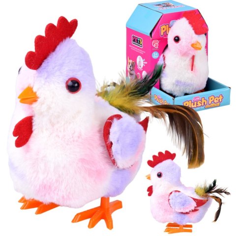 JOKOMISIADA Dreptająca KURA Grażyna kukuryku! - pieje i macha skrzydłami ZA6018