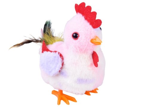 JOKOMISIADA Dreptająca KURA Grażyna kukuryku! - pieje i macha skrzydłami ZA6018