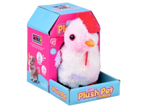 JOKOMISIADA Dreptająca KURA Grażyna kukuryku! - pieje i macha skrzydłami ZA6018