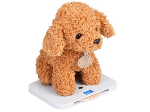 JOKOMISIADA Drewniany szpital dla zwierząt Weterynarz dla dzieci piesek pluszowy ZA5939