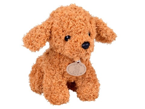 JOKOMISIADA Drewniany szpital dla zwierząt Weterynarz dla dzieci piesek pluszowy ZA5939