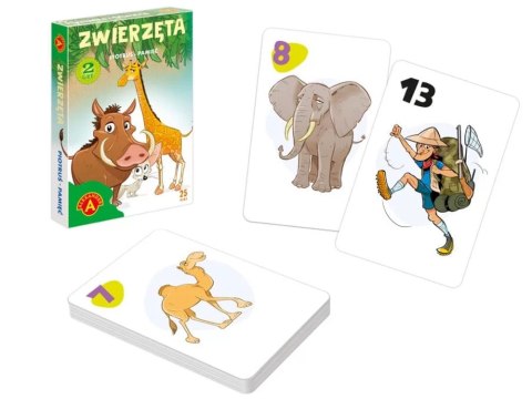 Alexander Alexander Karciana gra pamięciowa Karty Piotruś - Zwierzęta GR0808
