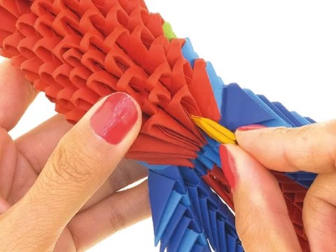 Alexander Alexander zestaw kreatywny Origami 3D - Papuga ZA6074