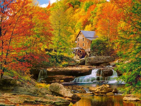 Castorland Puzzle 1000-elementów Magical Autumn C-104918-2