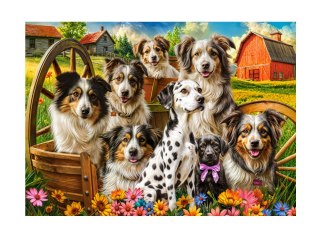 Castorland Puzzle 260-elementów Happy Dogs In The Countryside B-27699-1