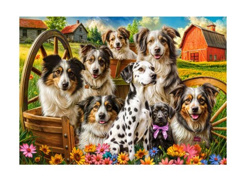 Castorland Puzzle 260-elementów Happy Dogs In The Countryside B-27699-1