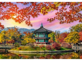 Castorland Puzzle 500-elementów yeongbokgung Palace, Seoul, South Korea B-54138