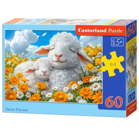 Castorland Puzzle 60-elementów Sweet Dreams B-066308