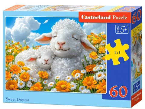 Castorland Puzzle 60-elementów Sweet Dreams B-066308