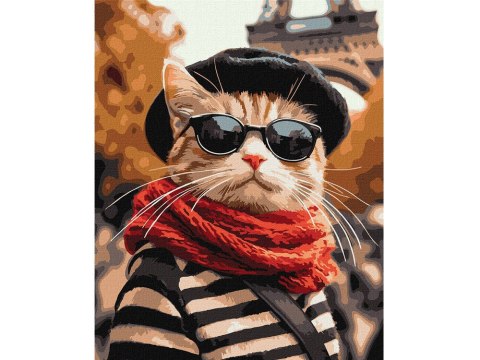 Ideyka Malowanie po numerach 40x50 cm KHO6705 Puszysty w Paryżu AP0115