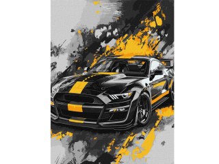 Ideyka Zestaw do malowania po numerach 30x40cm KHO5155 Styl sportowy AP0091