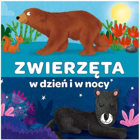 Kapitan Nauka Kapita Nauka Książeczka harmonijkowa Zwierzęta w dzień i w nocy KS1222