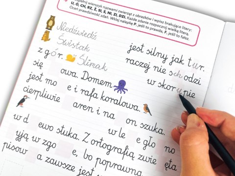 Kapitan Nauka Kapitam Nauka EDUseria. Dyktanda i ćwiczenia KS1200