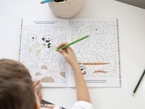 Kapitan Nauka Kapitan Nauka Bazgraki i dinozaury. Kolorowanie KS1191