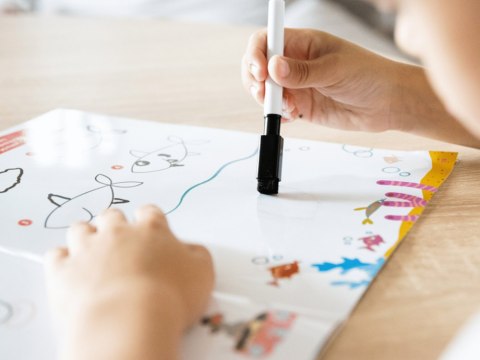 Kapitan Nauka Kapitan Nauka Bazgraki uczą się rysować. Zwierzęta KS1198