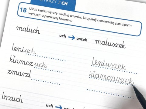 Kapitan Nauka Kapitan Nauka EDUseria. Ortografia. Ćwiczenia KS1203