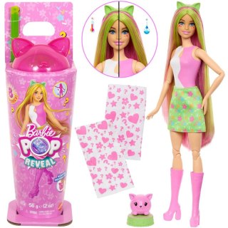 Mattel Mattel Barbie Pop Reveal lalka z serii: Shake + kot i akcesoria ZA6061
