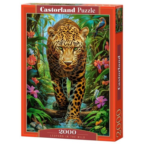 Castorland Puzzle 2000 elementów Leopard in the Wild