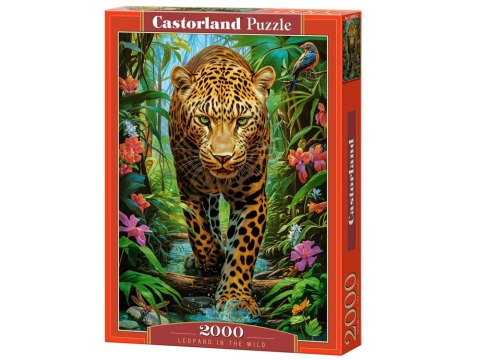 Castorland Puzzle 2000 elementów Leopard in the Wild