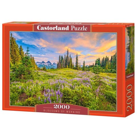 Castorland Puzzle 2000el Blossoms of Morning