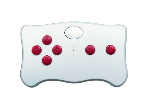 LEAN CARS Pilot TX10 do pojazdu na akumulator 2.4G z modułem FCC