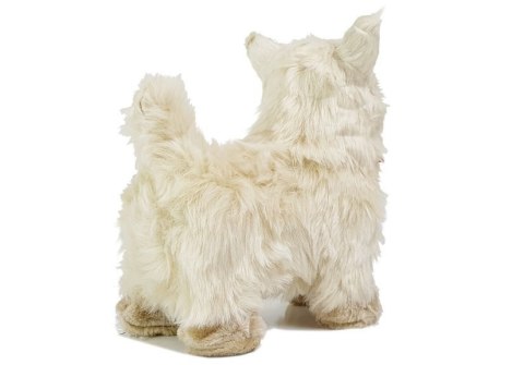 LEAN Toys Interaktywny Pies Chihuahua Porusza się, Szczeka