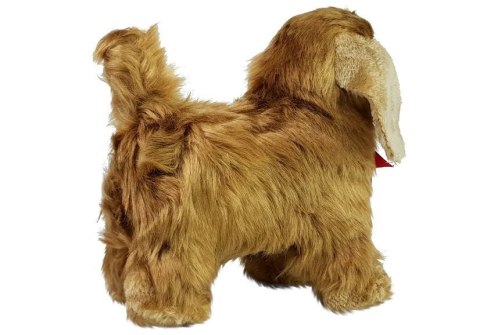 LEAN Toys Interaktywny Pies Cocker Spaniel Porusza się, Szczeka