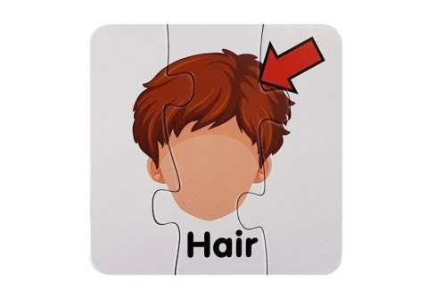 LEAN TOYS Puzzle Edukacyjne Układanka Części Ciała 10 Połączeń Angielski