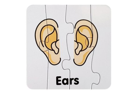 LEAN TOYS Puzzle Edukacyjne Układanka Części Ciała 10 Połączeń Angielski