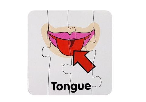 LEAN TOYS Puzzle Edukacyjne Układanka Części Ciała 10 Połączeń Angielski